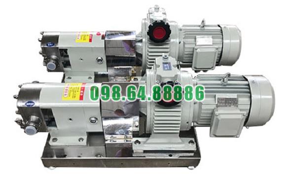 Máy bơm lobe 3RP-20 áp suất 0.6 MPa tốc độ quay 750 vòng/phút công suất 2.2kW