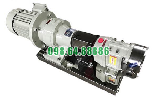 Máy bơm lobe 3RP-60 lưu lượng 18 m3/h kết nối DN65